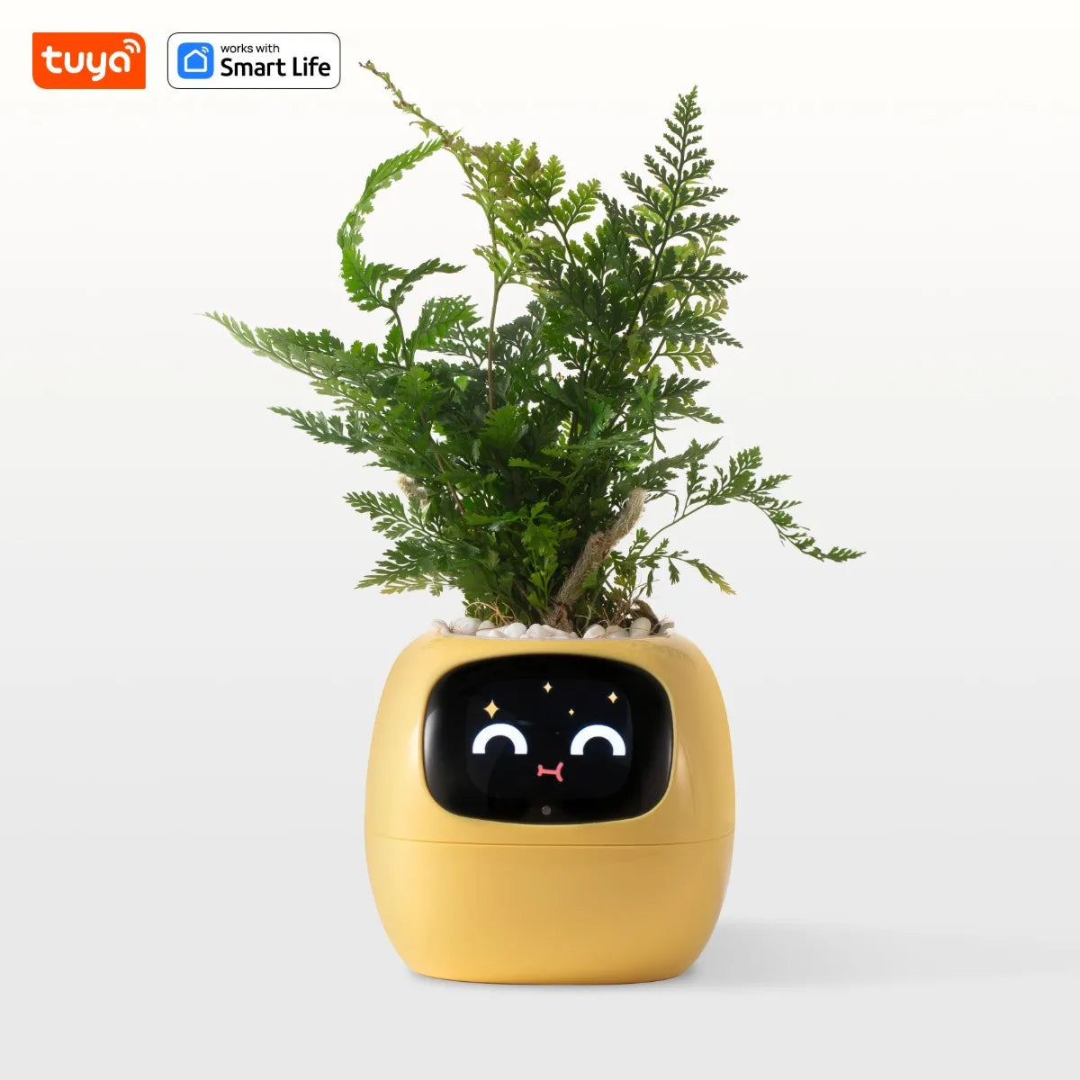 Ivy Smart Planter