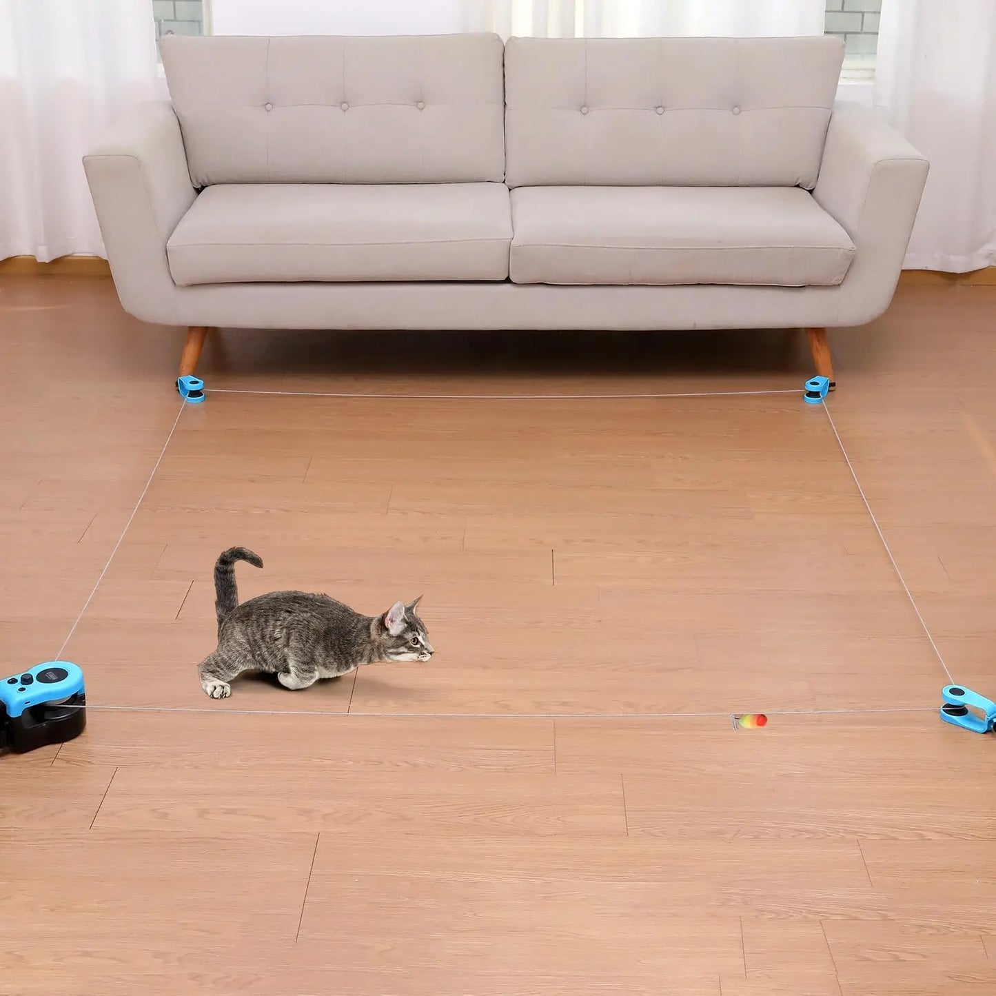Interactive Cat Wheel Exerciser